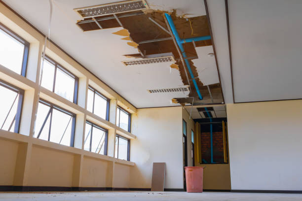 Best 24/7 water damage repair  in Brighton, MI