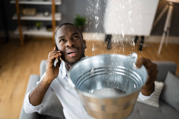 Best Local water damage restoration  in Brighton, MI