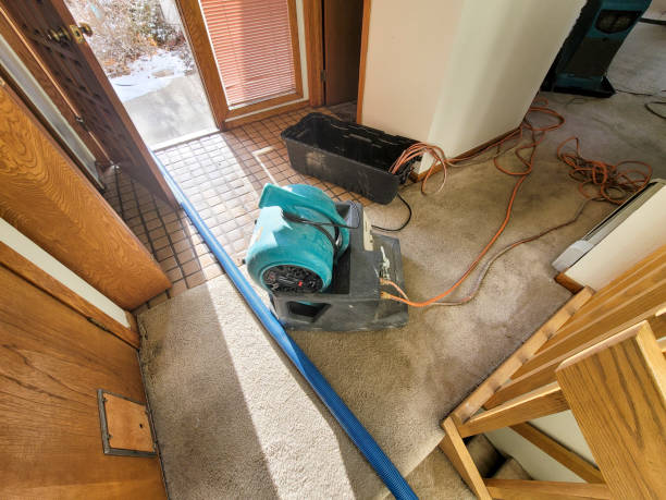 Best Fire Damage Restoration  in Brighton, MI