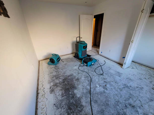 Best Basement water damage restoration  in Brighton, MI