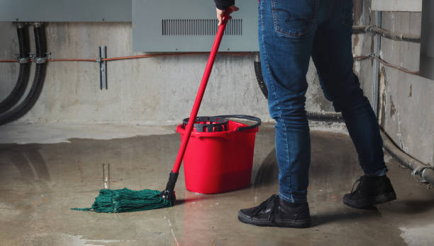 Best Local water damage restoration  in Brighton, MI