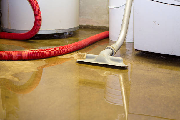 Brighton, MI Water damage restoration Company