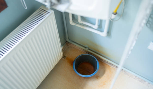 Best 24-hour water damage restoration  in Brighton, MI