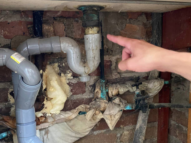 Best Ceiling water damage repair  in Brighton, MI
